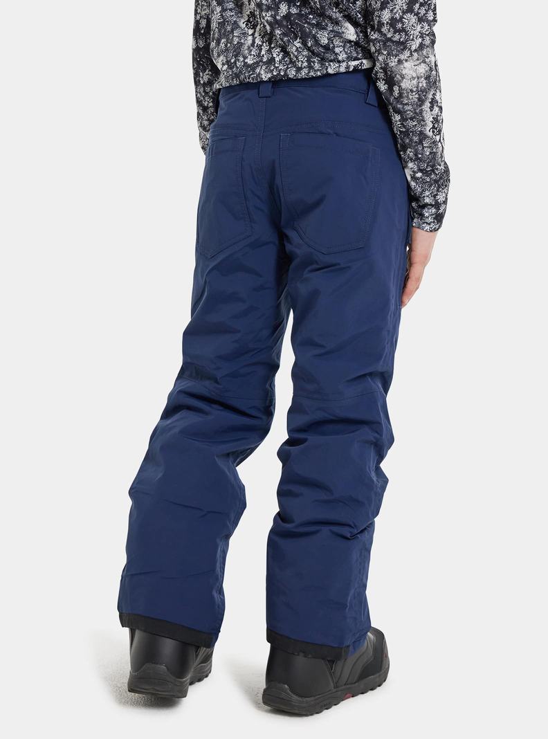 Burton Barnstorm 2L Snowboardhose Kinder Blau | 890-KNIFBV