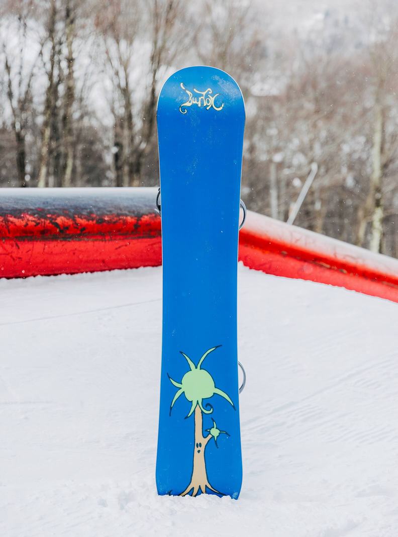 Burton Blossom Camber Snowboards Damen | 253-ZCMJDT