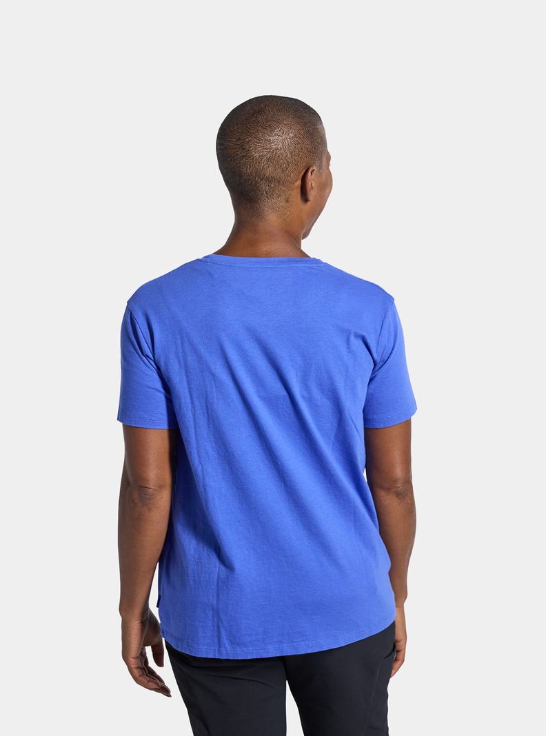 Burton Colfax Kurzes Sleeve T-Shirts Damen Blau | 670-UBTMIV