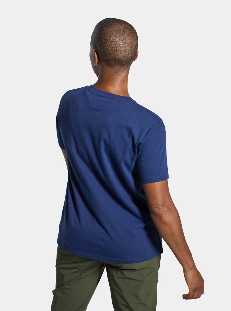 Burton Colfax Kurzes Sleeve T-Shirts Damen Blau | 805-RAYTMQ