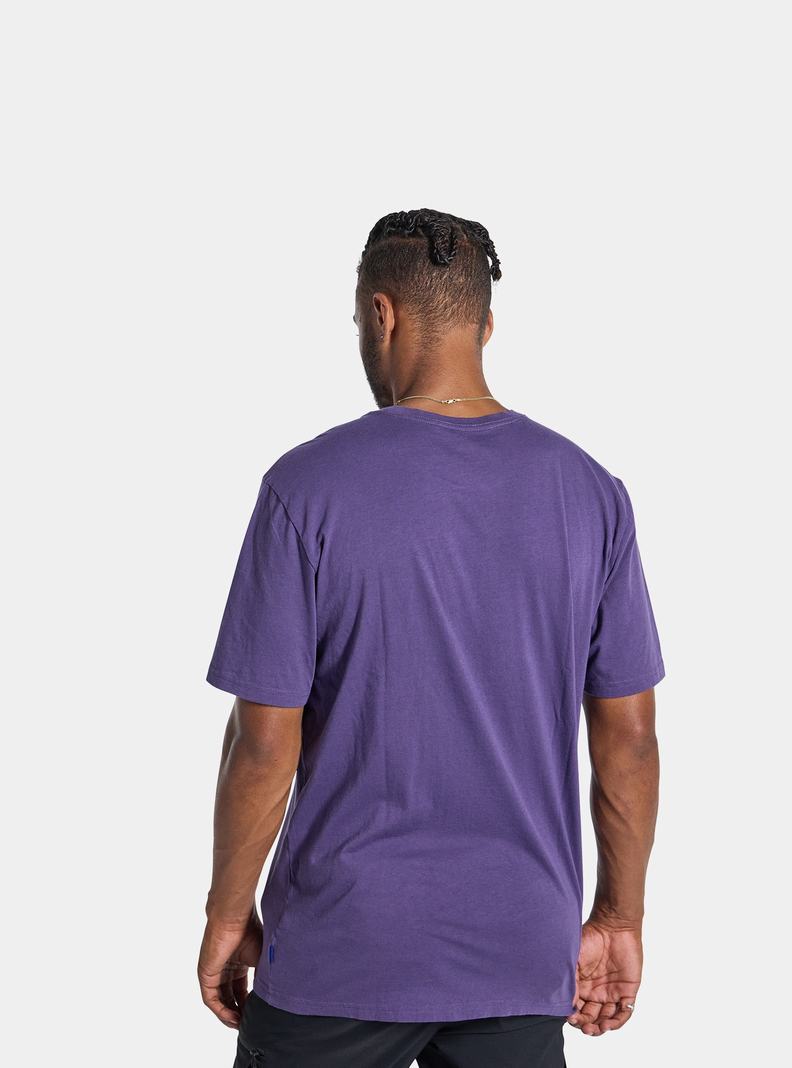 Burton Colfax Kurzes Sleeve T-Shirts Herren Lila | 074-GCJNDO