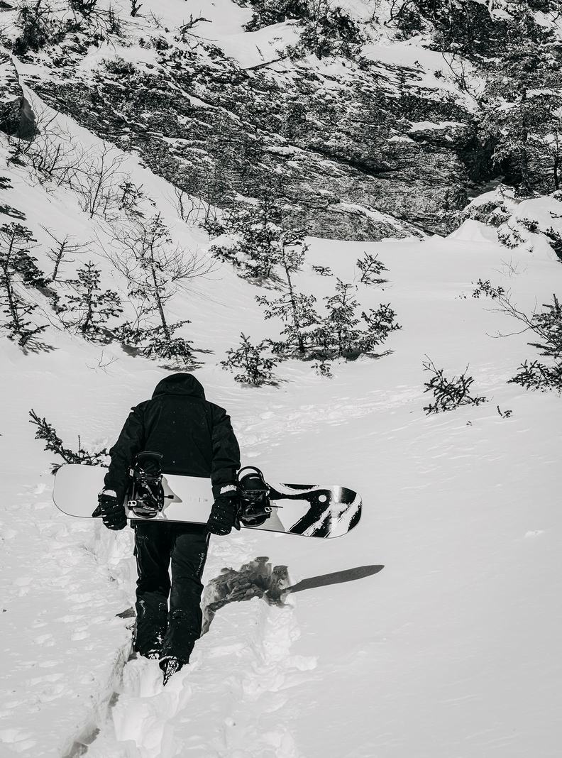 Burton Family Tree First Cut Camber Snowboards Damen | 906-ELSACB