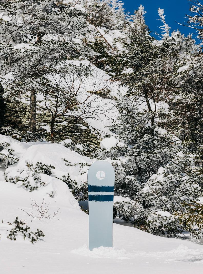 Burton Family Tree First Cut Camber Snowboards Damen | 906-ELSACB