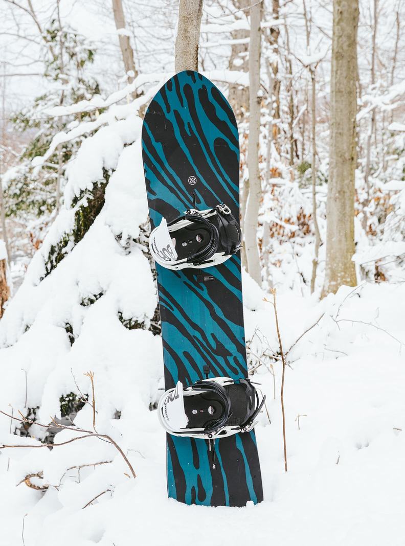 Burton Fish 3D Directional Flache Top Snowboards Herren | 658-FEMZYL