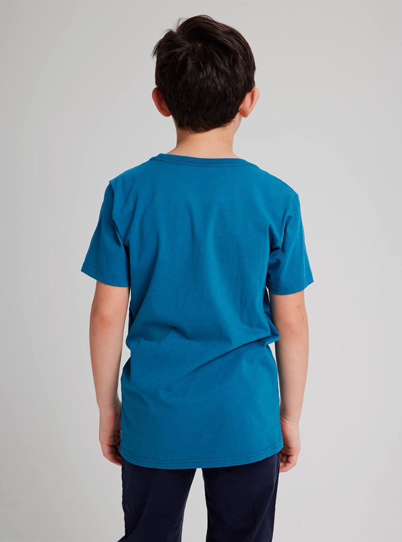 Burton Pinecrest Kurzes Sleeve T-Shirts Kinder Blau | 072-IFZCGQ